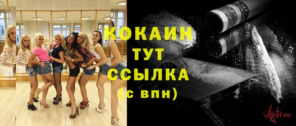 твердый Куйбышев